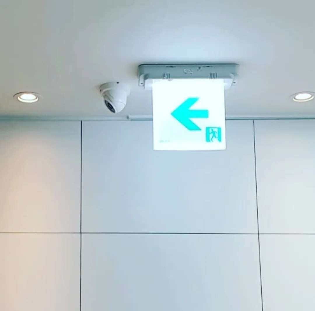 이미지 4