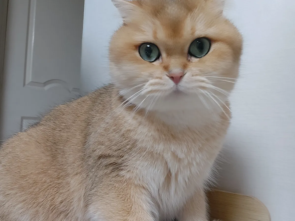 이미지 4