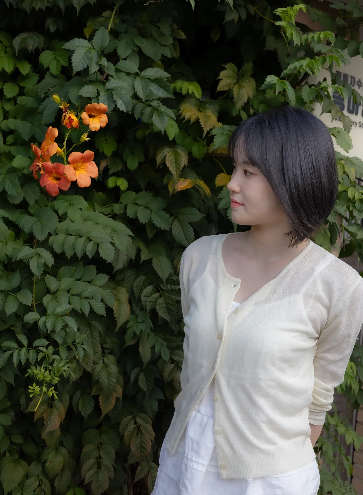 이미지 10