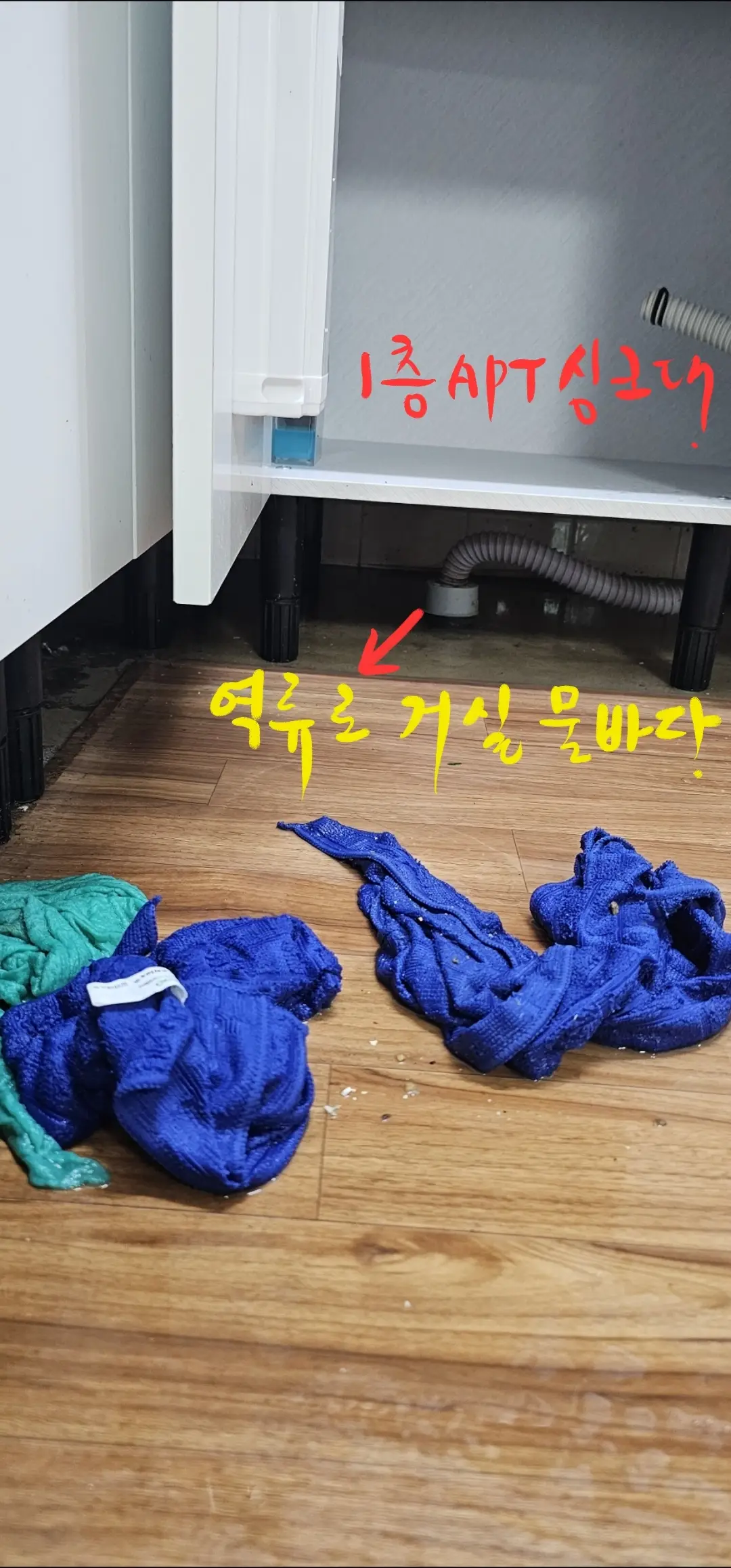 이미지 4
