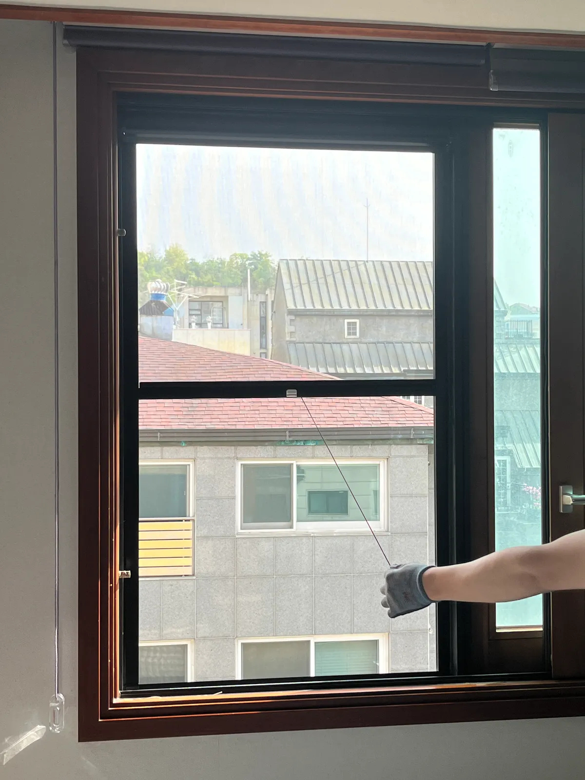 이미지 6