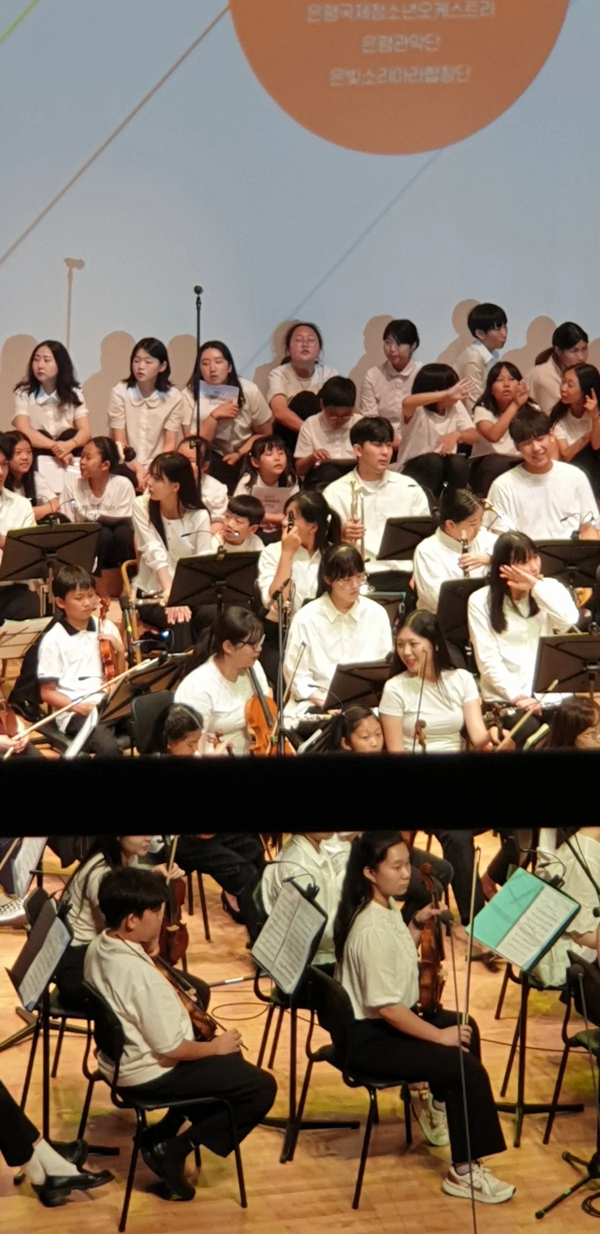 이미지 6