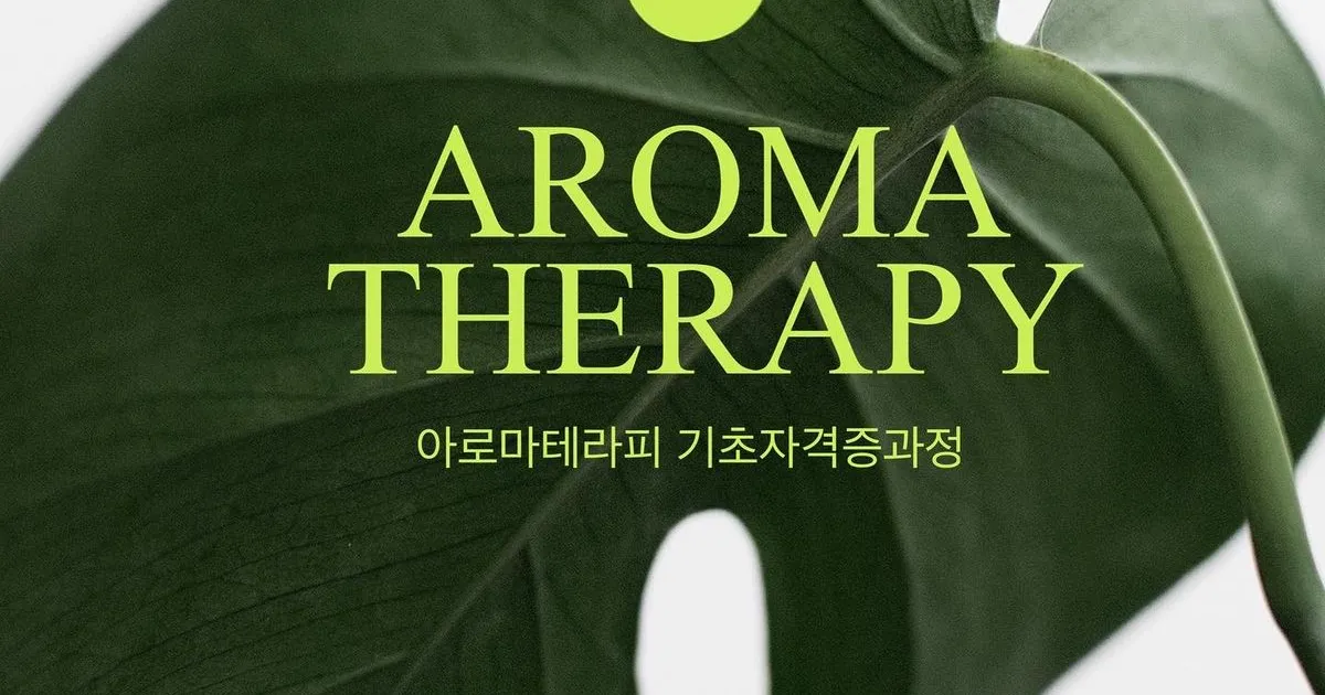 아로마자격증반 / 이보란 - 숨고, 숨은고수 아로마자격증반 