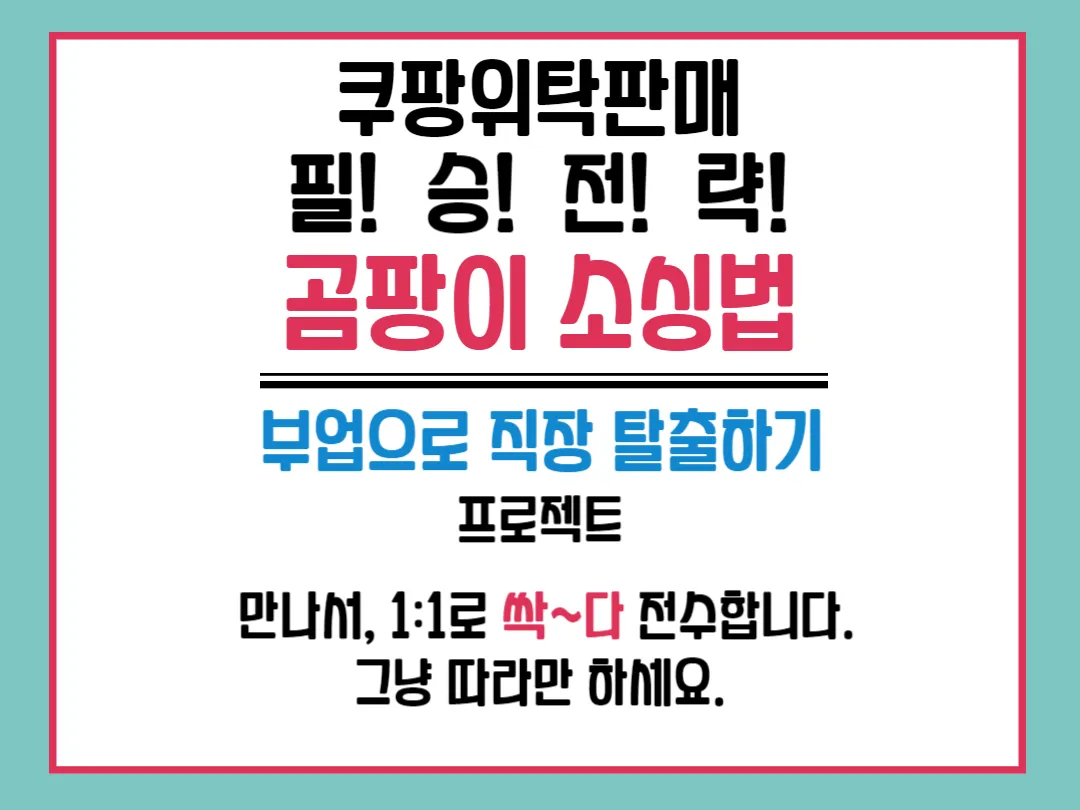 포트폴리오 이미지