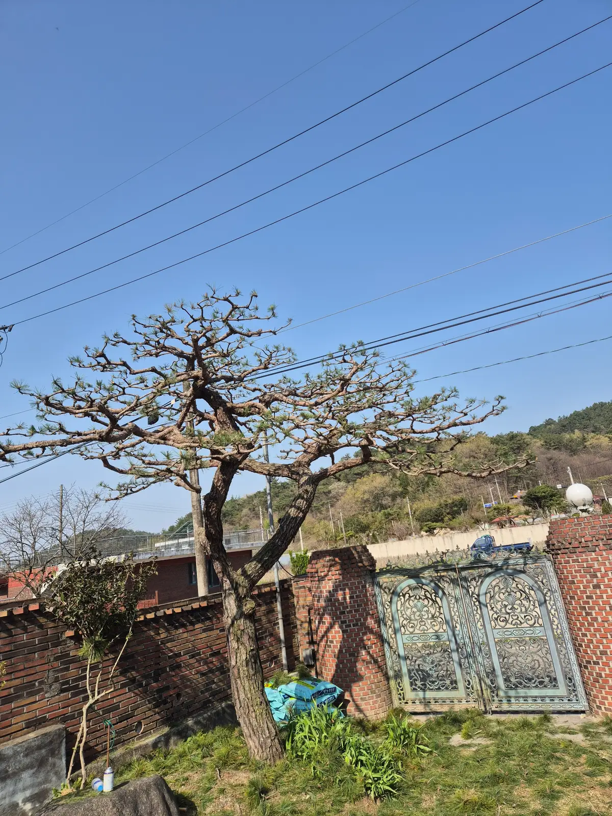 이미지 6