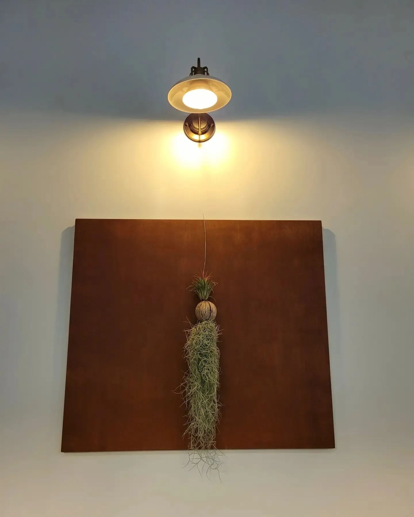 이미지 5