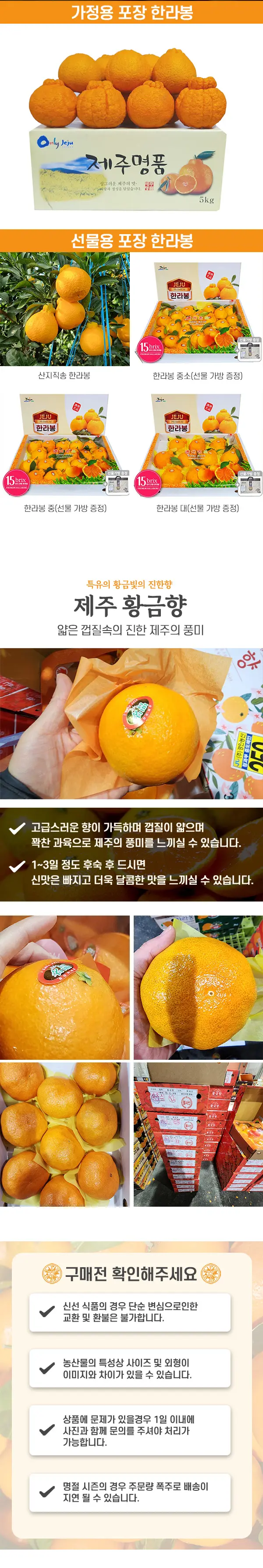 이미지 6