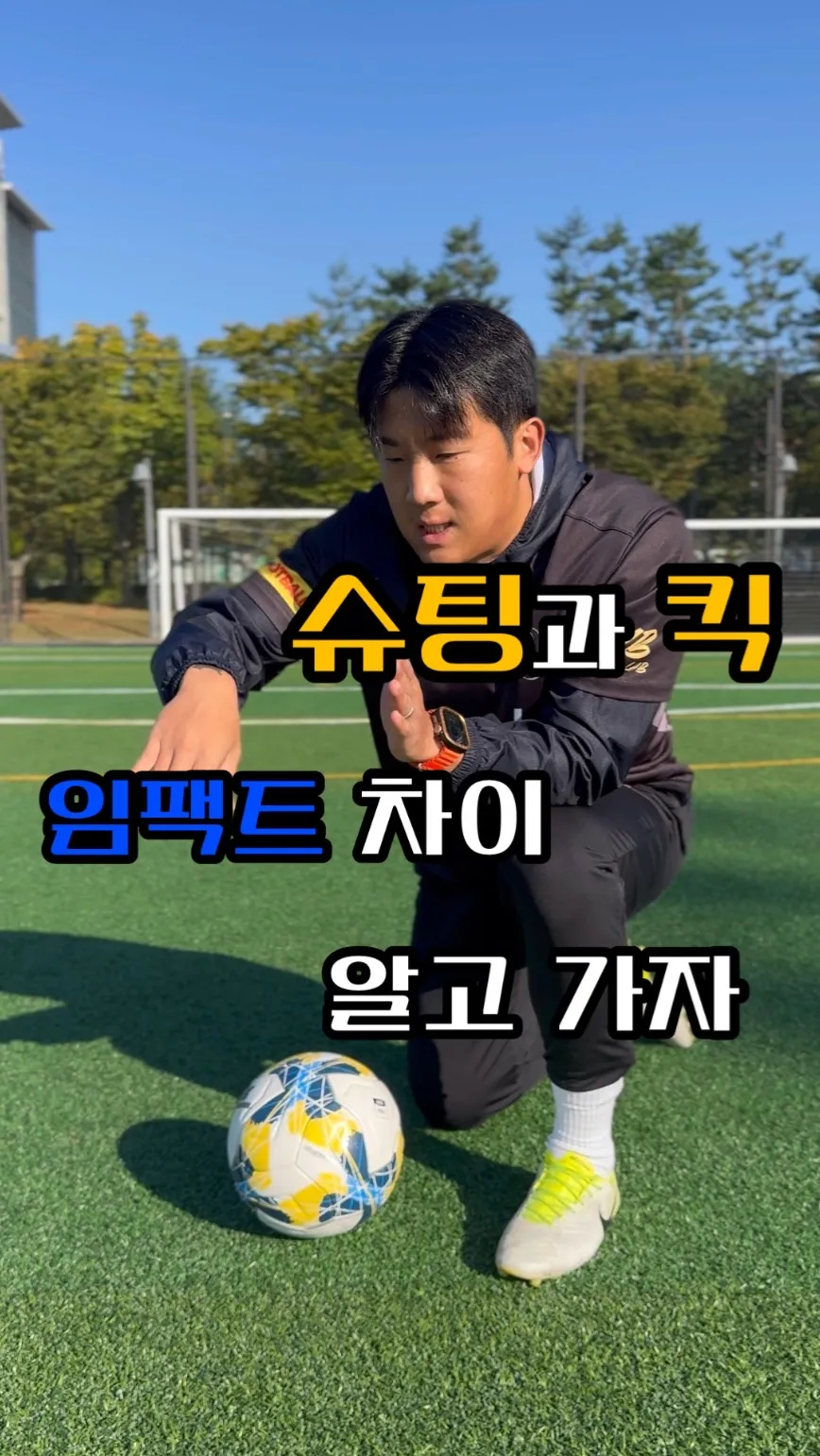이미지 8
