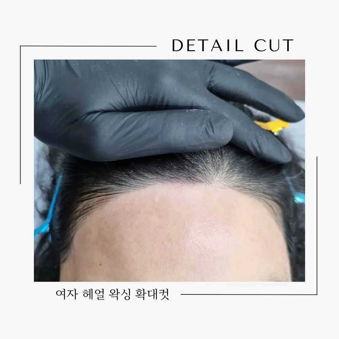 이미지 6
