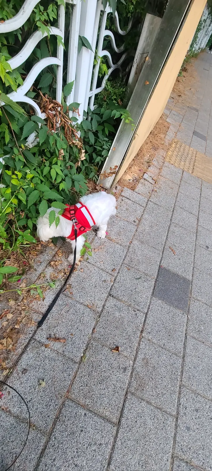 이미지 3