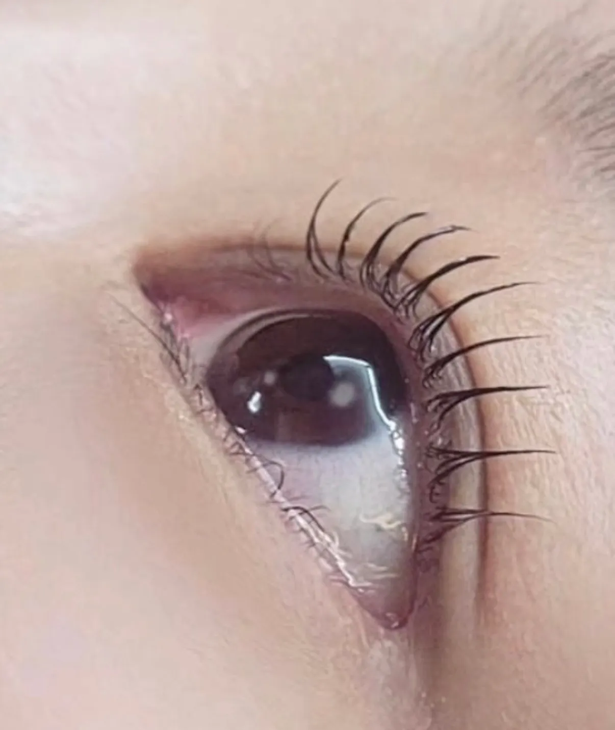 이미지 10