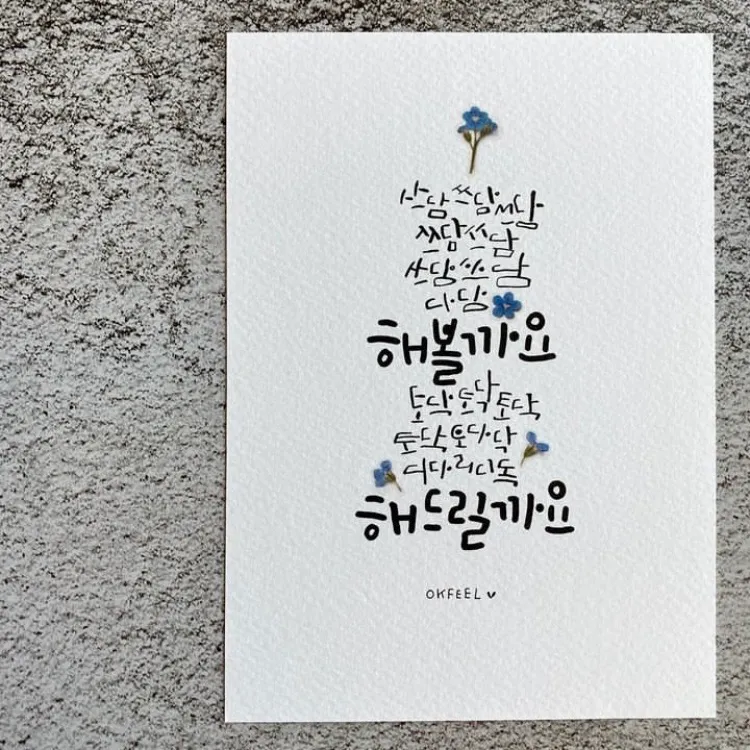 이미지 7