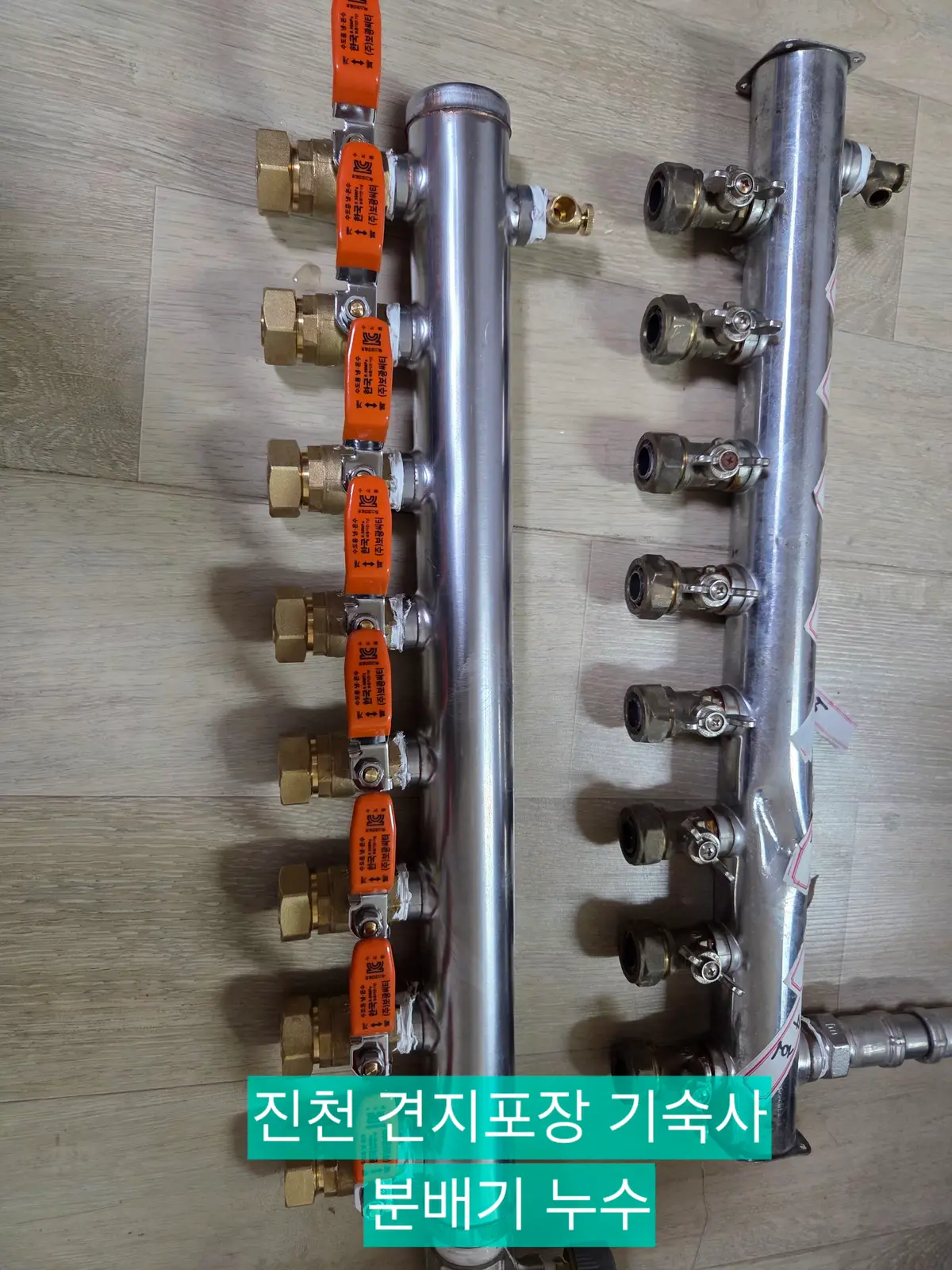 이미지 12
