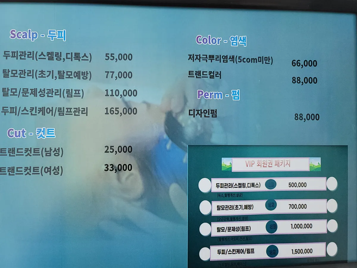 이미지 3