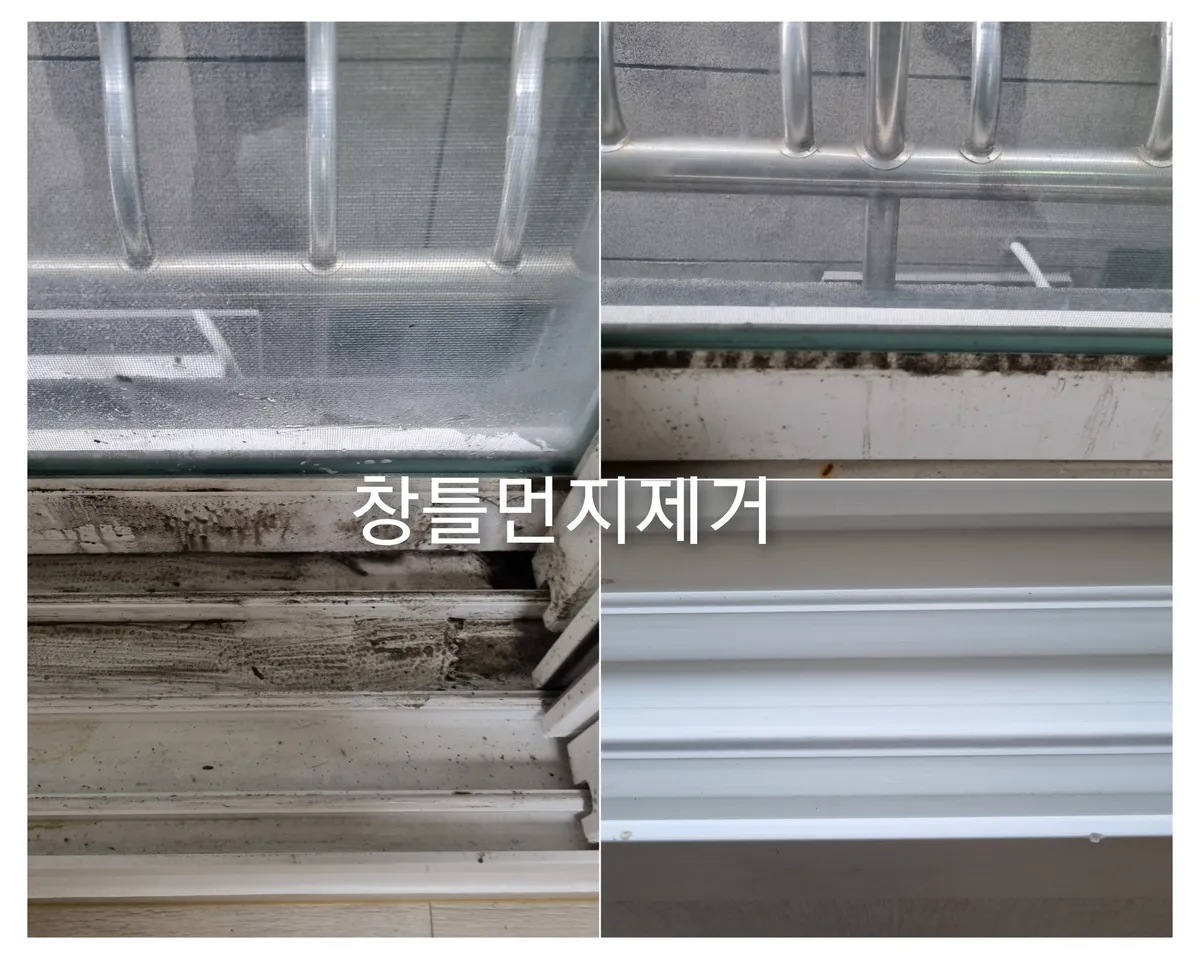 이미지 8