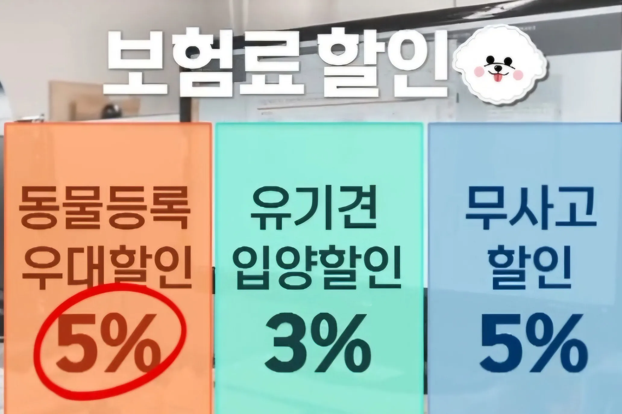 이미지 4