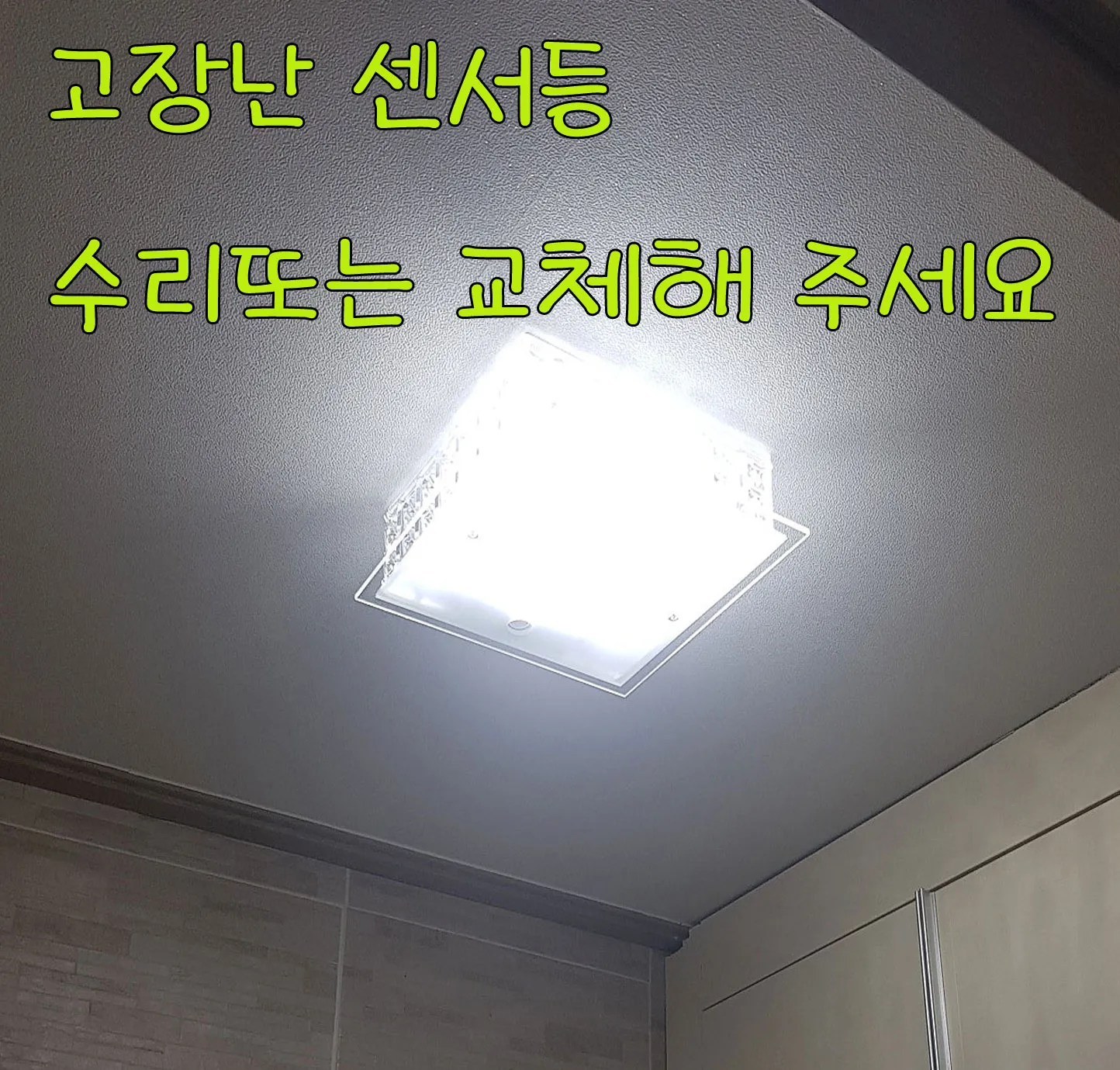 이미지 11