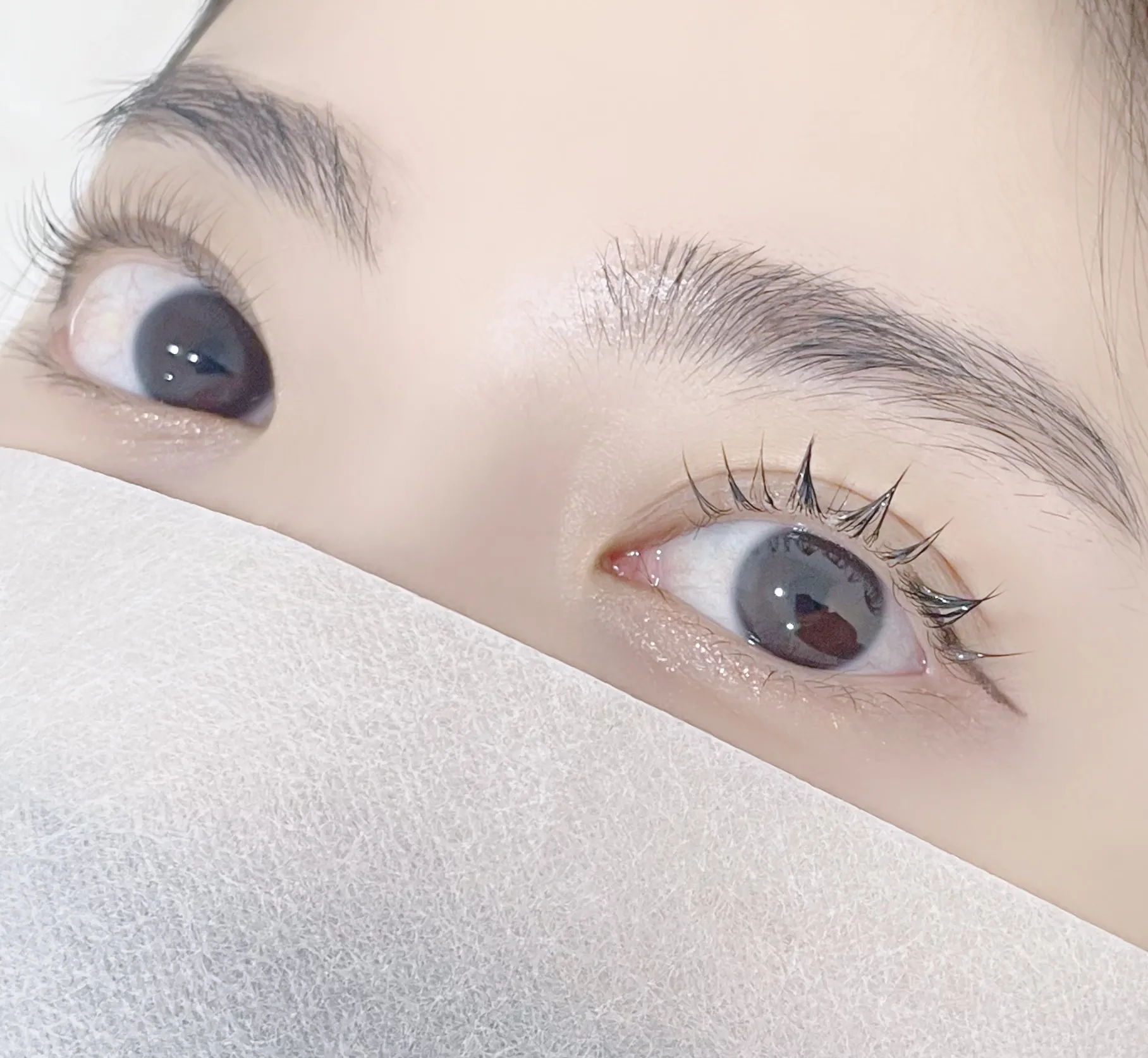 이미지 5