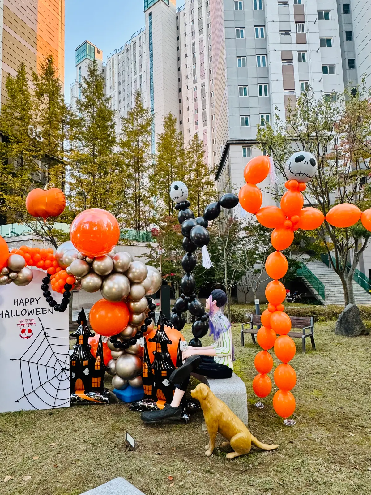 이미지 5