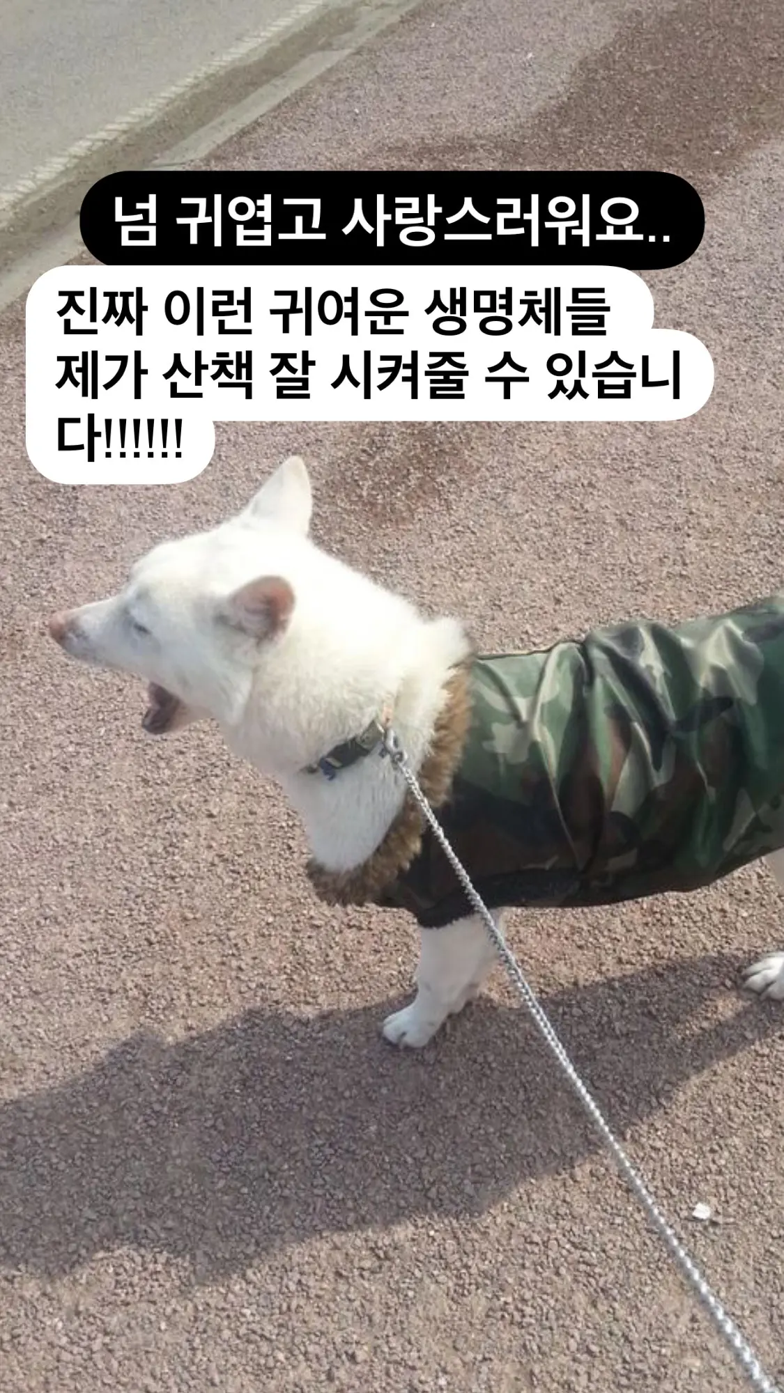 이미지 3