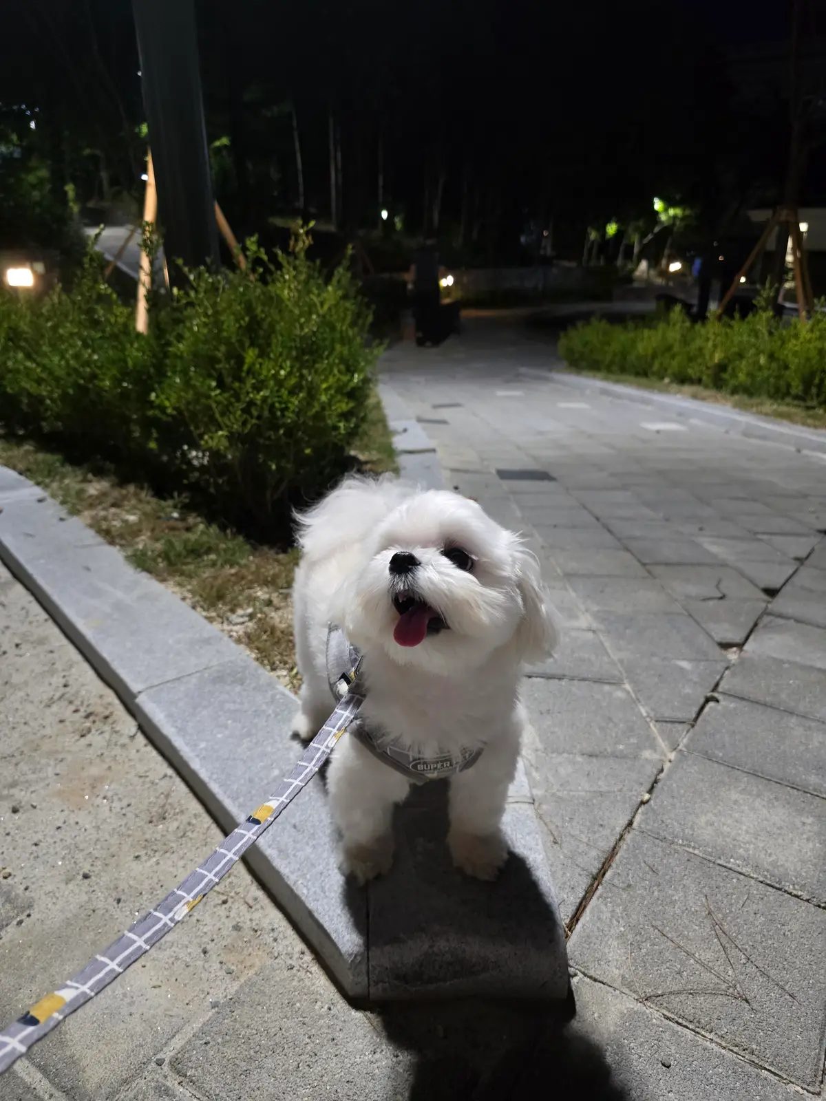 이미지 6