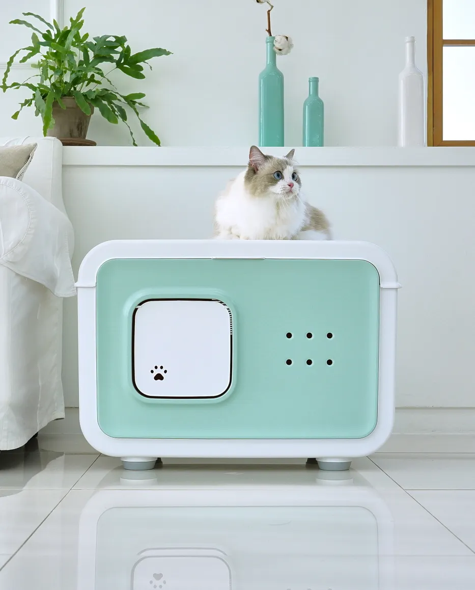 이미지 9