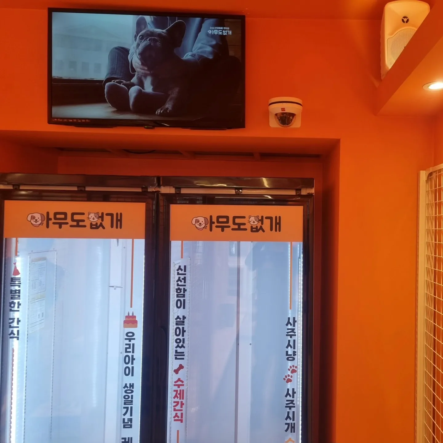 이미지 4