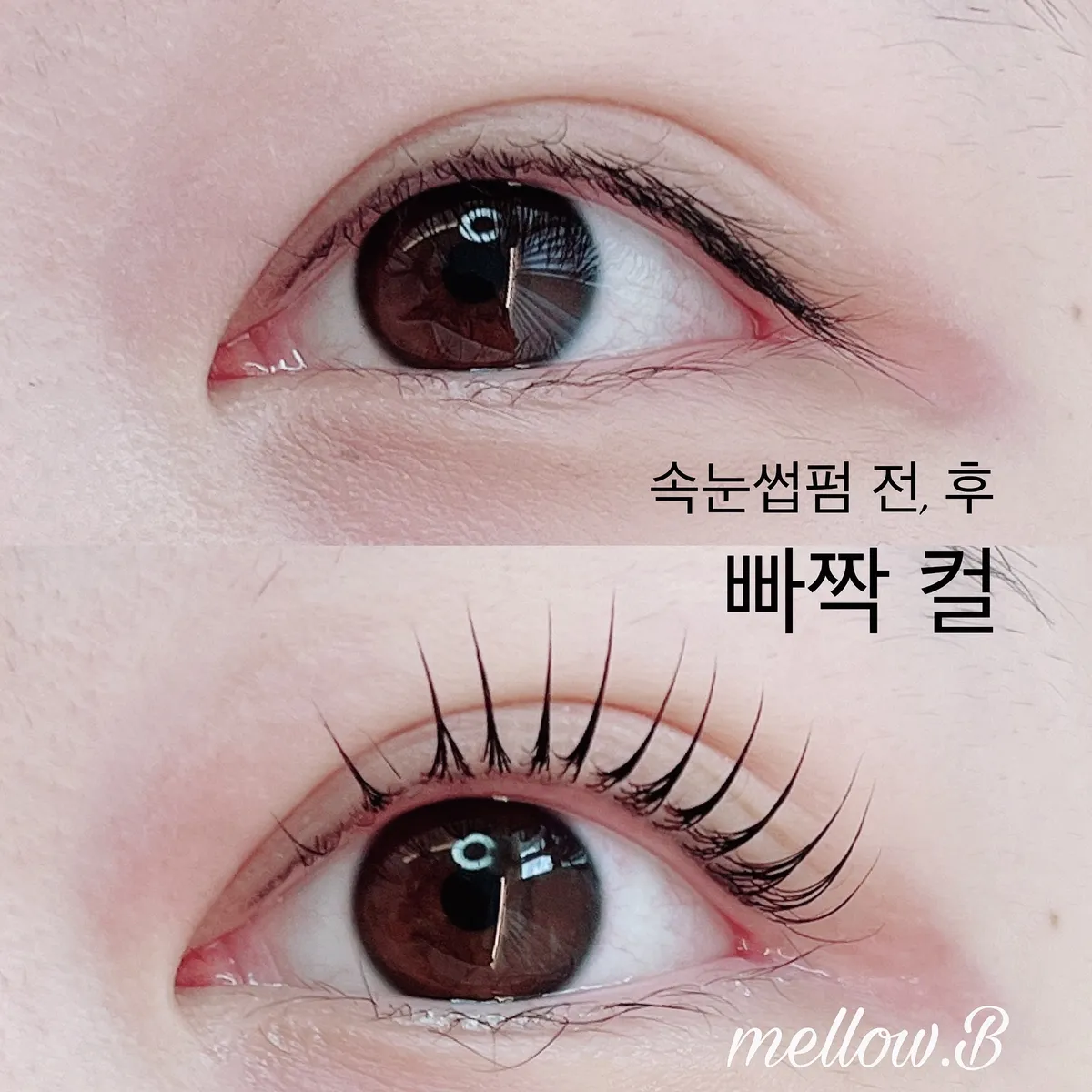 이미지 3