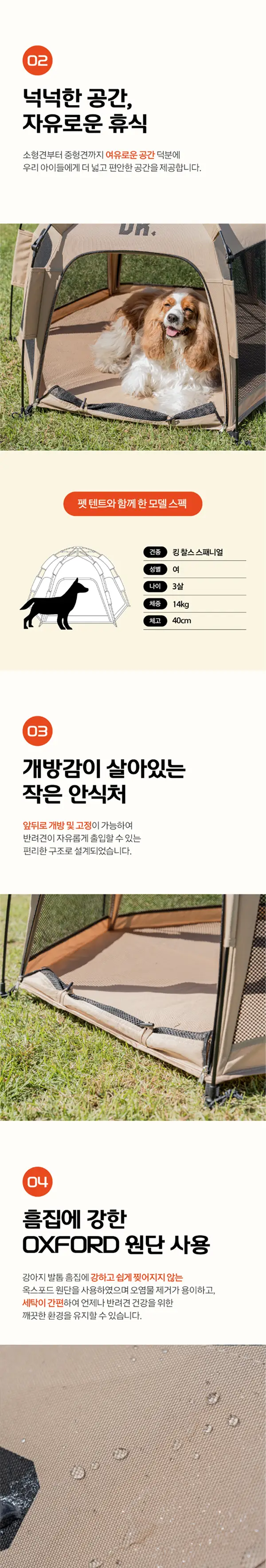 이미지 6