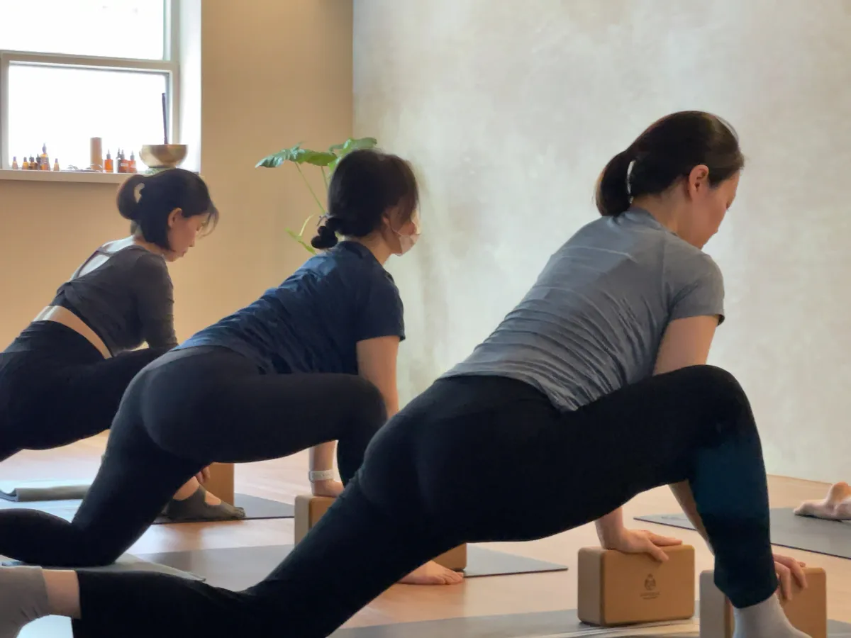 이미지 5