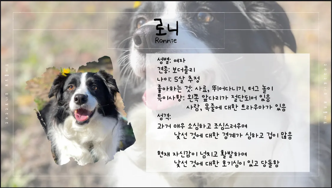 이미지 3