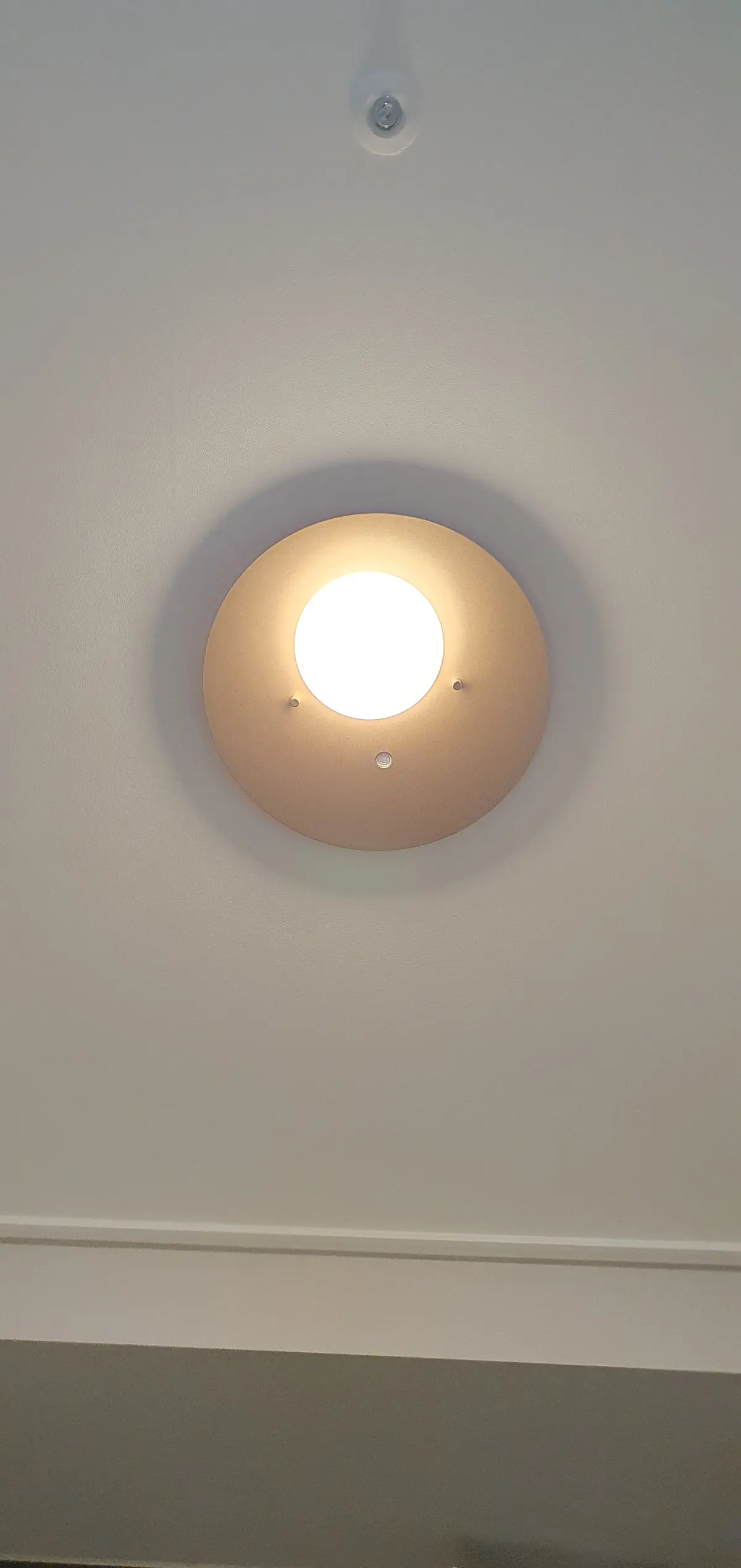 이미지 7