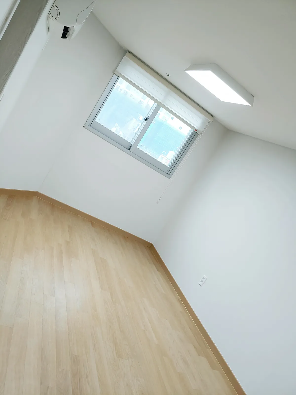 이미지 5