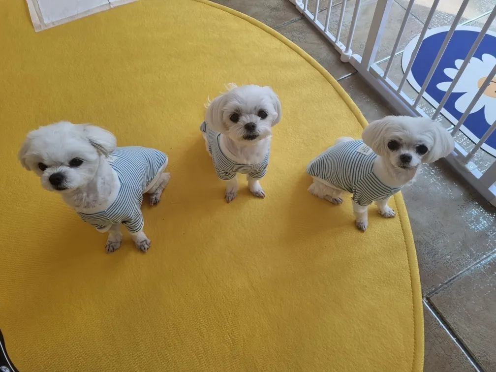 이미지 7