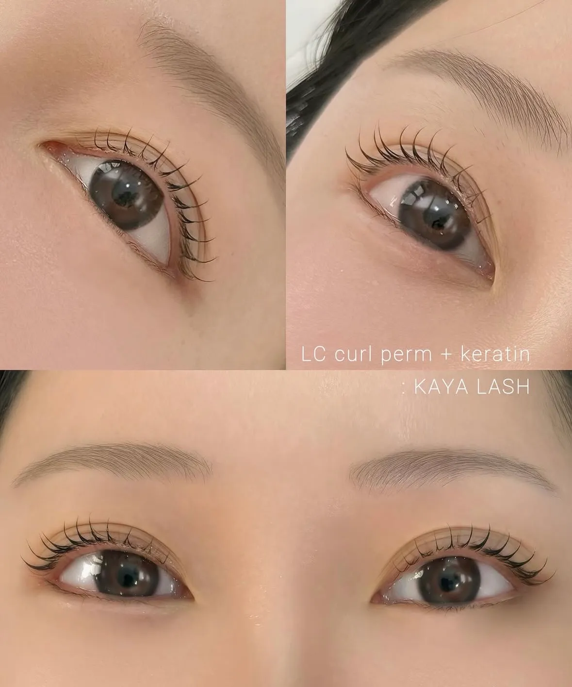 이미지 5