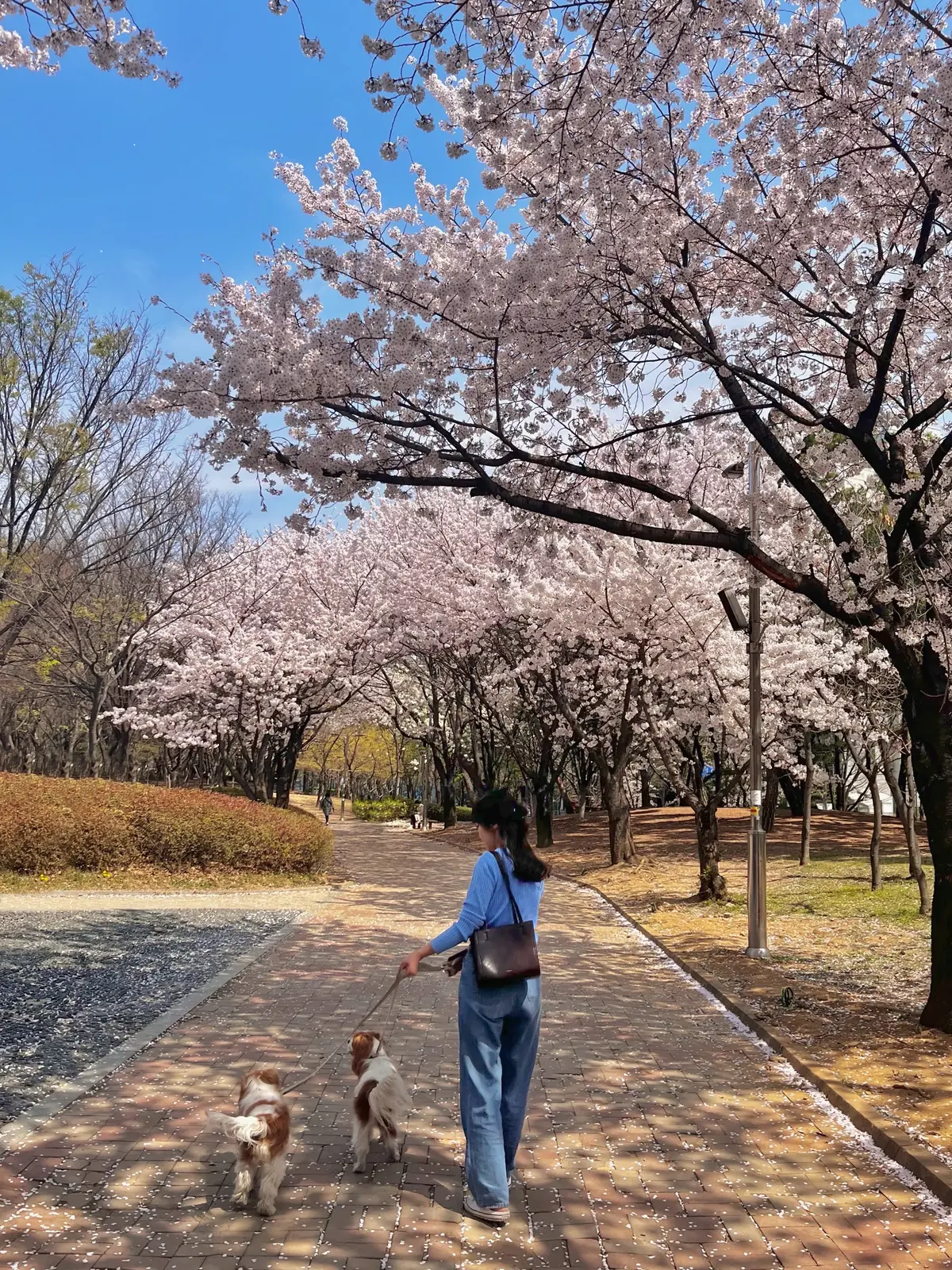 이미지 2