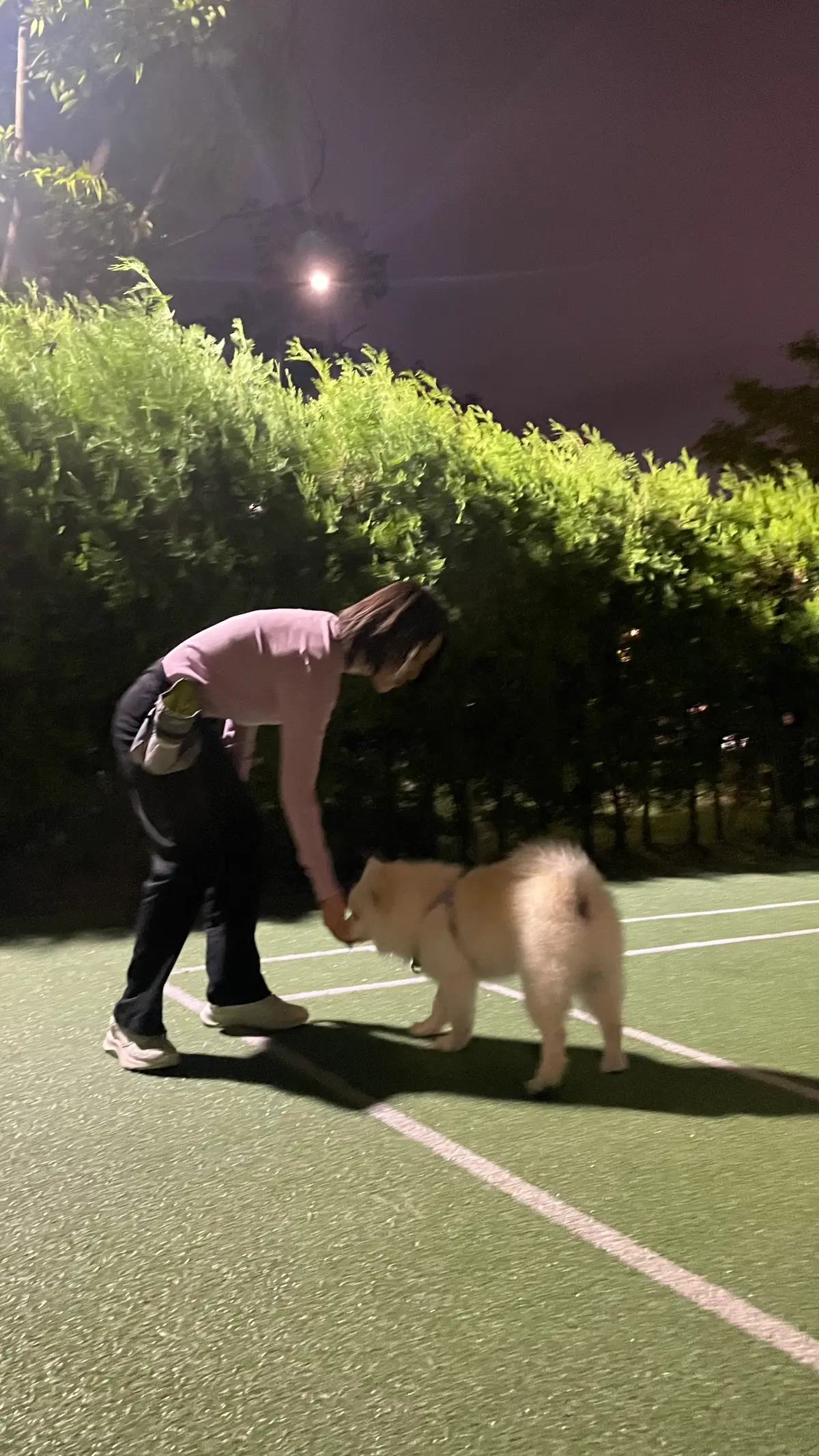 이미지 3