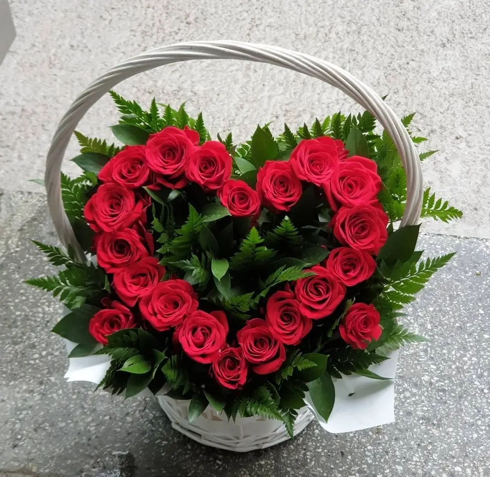이미지 8