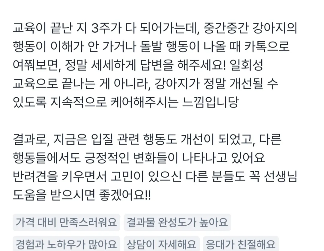 이미지 8