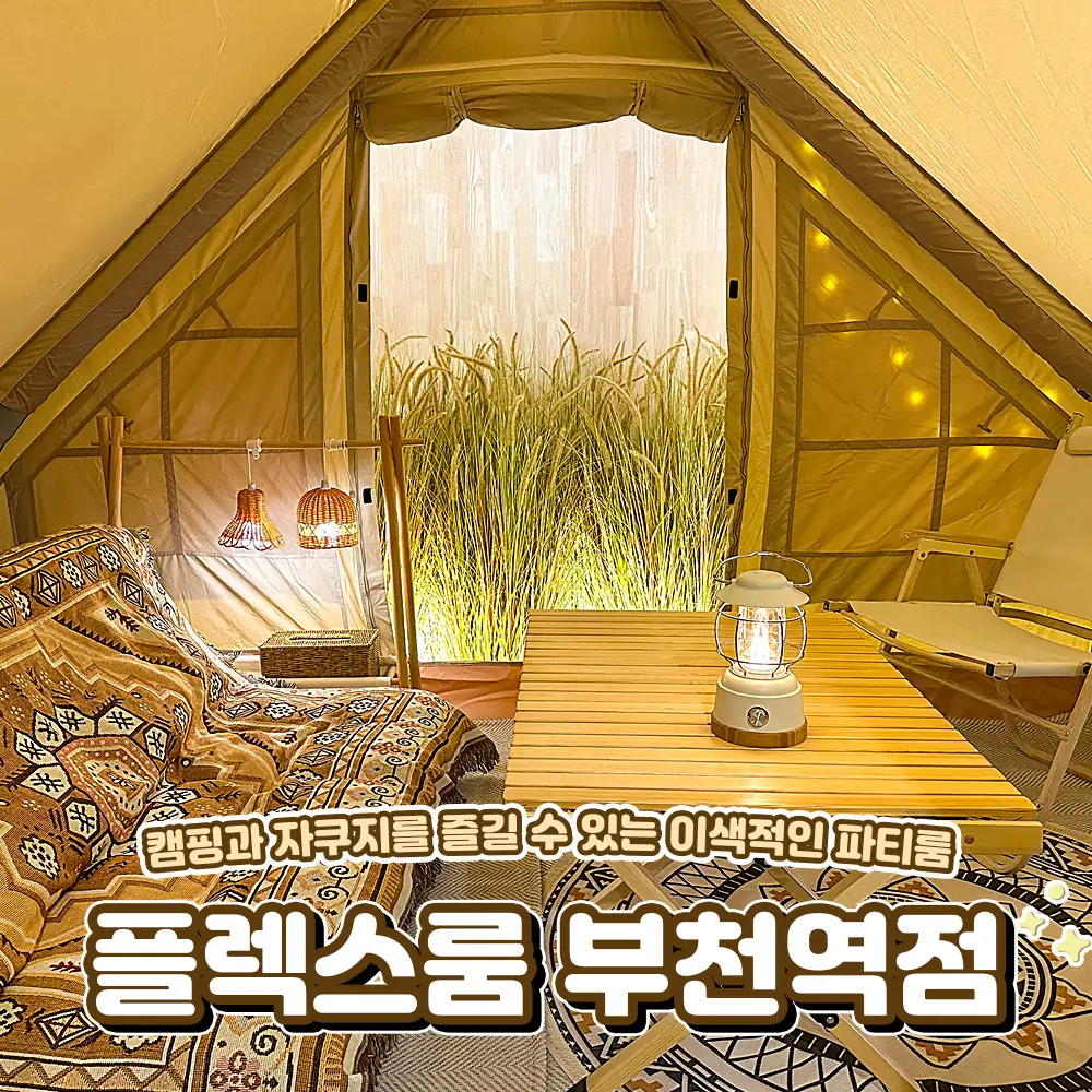 이미지 3