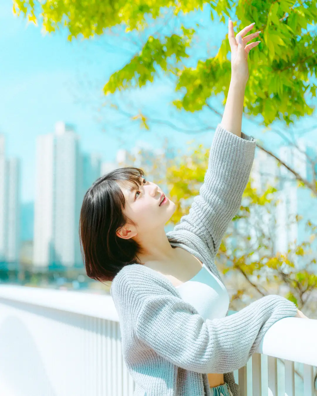 이미지 20