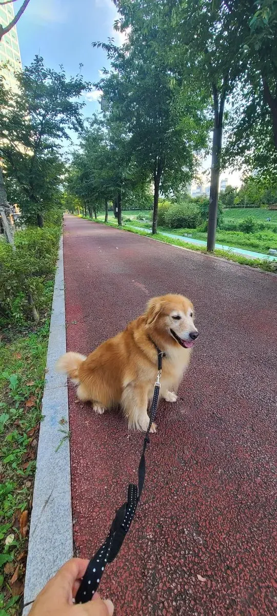 이미지 5