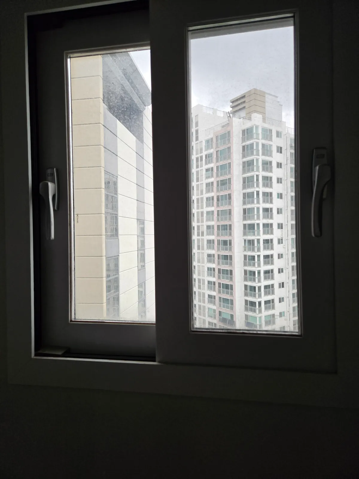 이미지 11