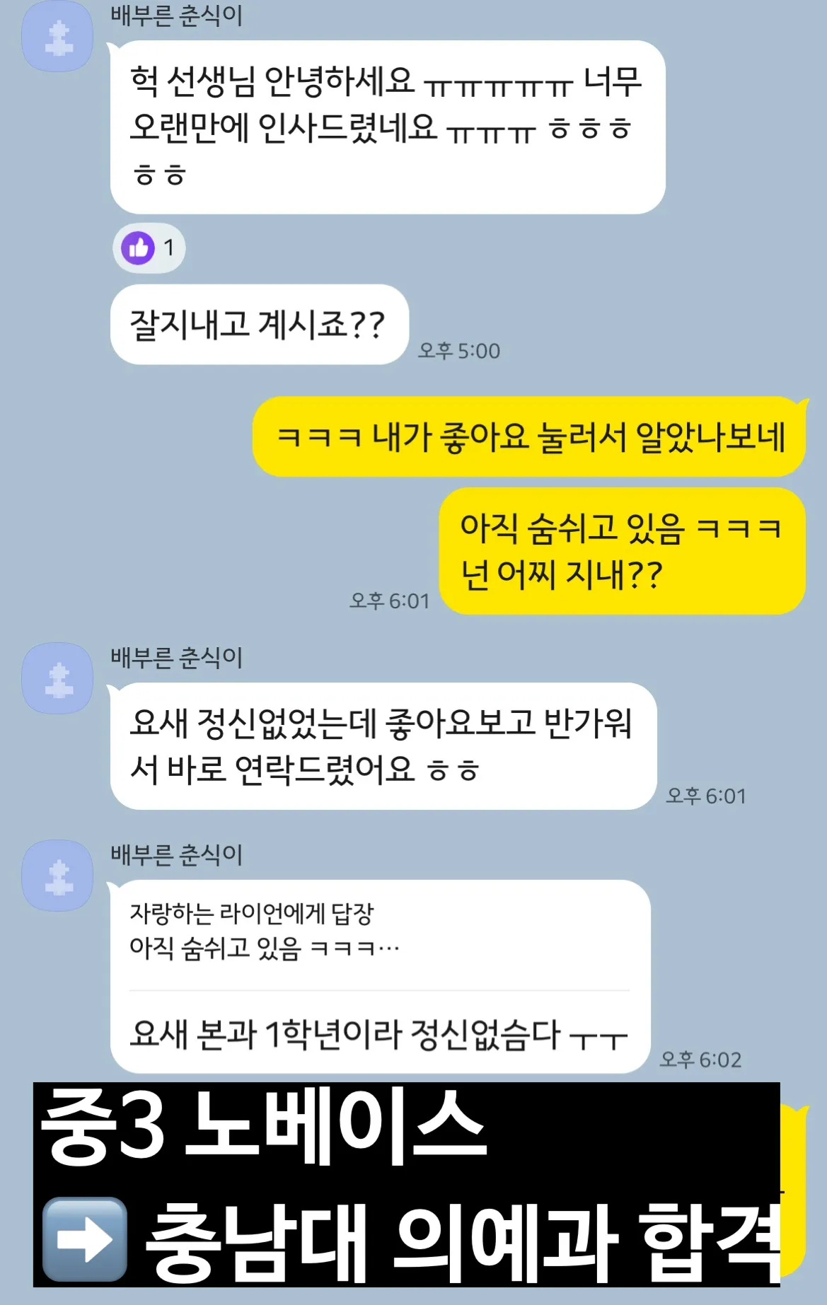 이미지 6