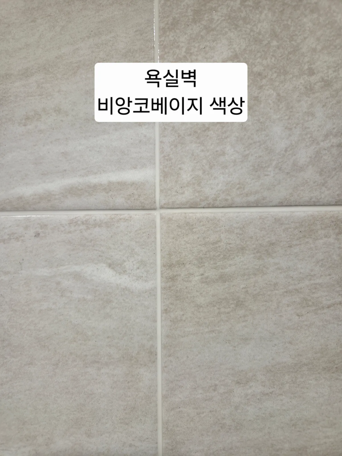 이미지 8