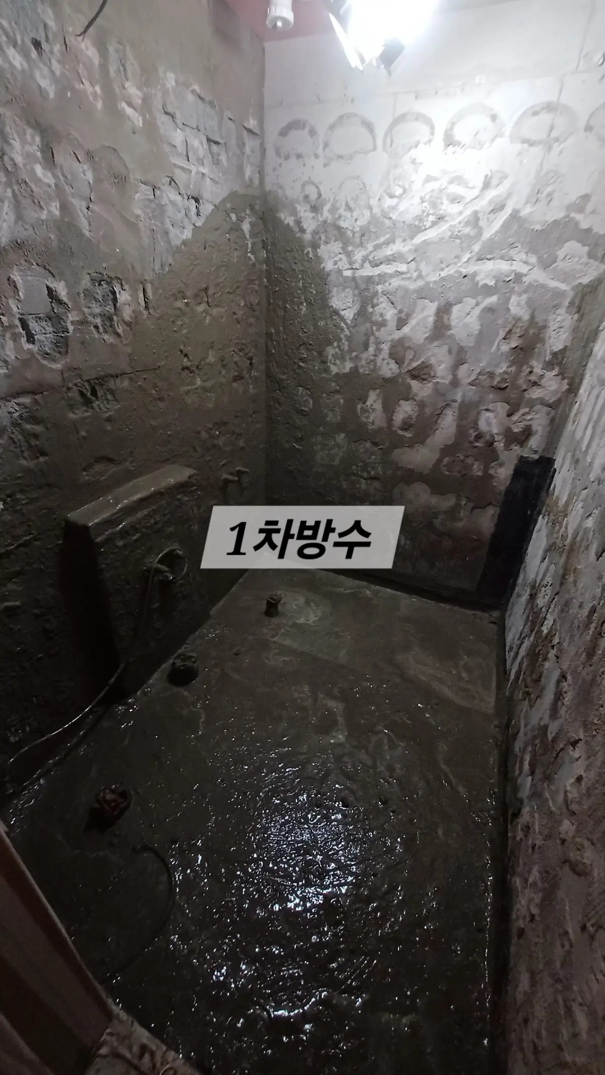 이미지 4