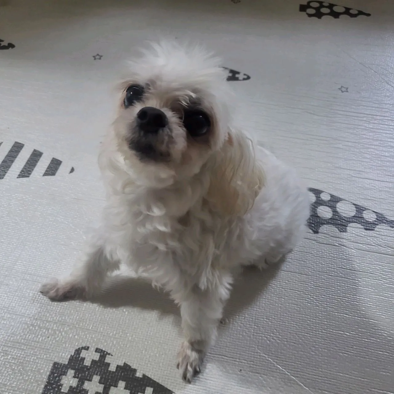 이미지 5