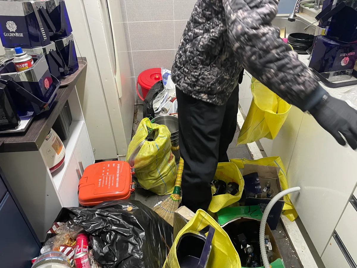 이미지 5