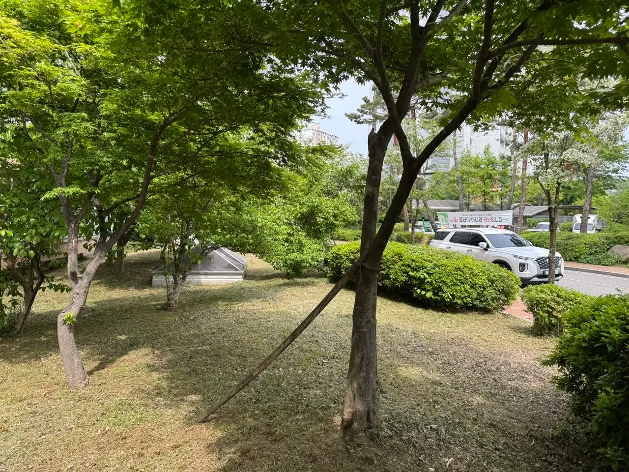 이미지 20