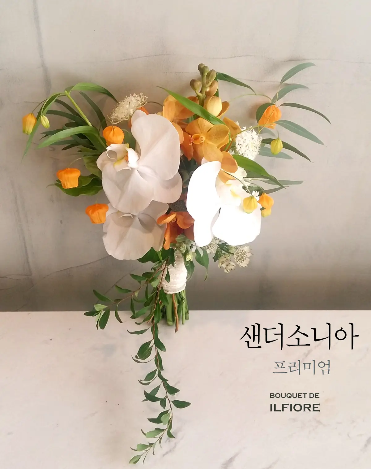 이미지 12